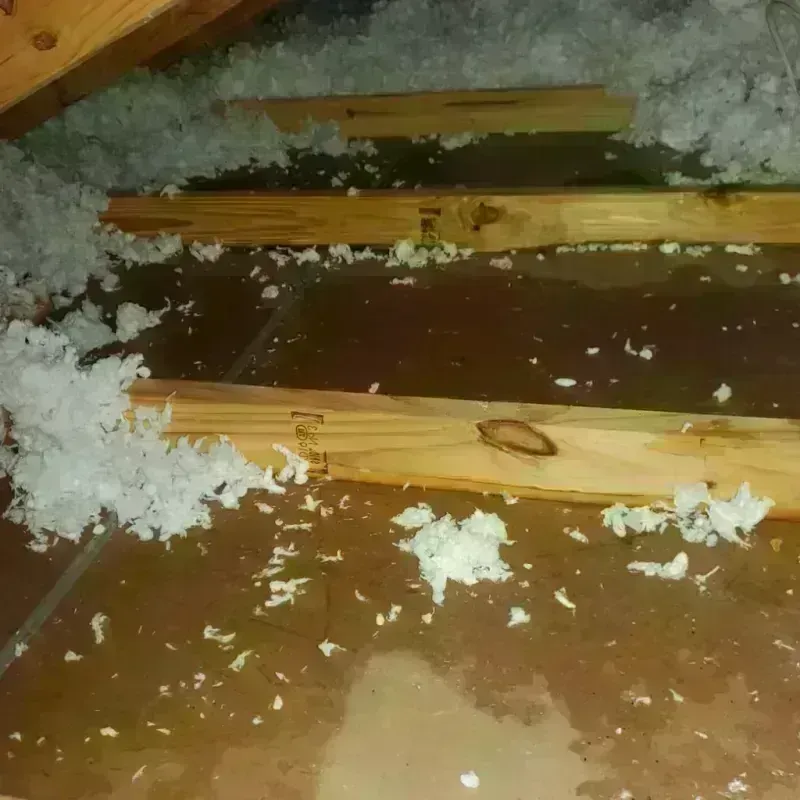 Attic Water Damage in Adel, GA