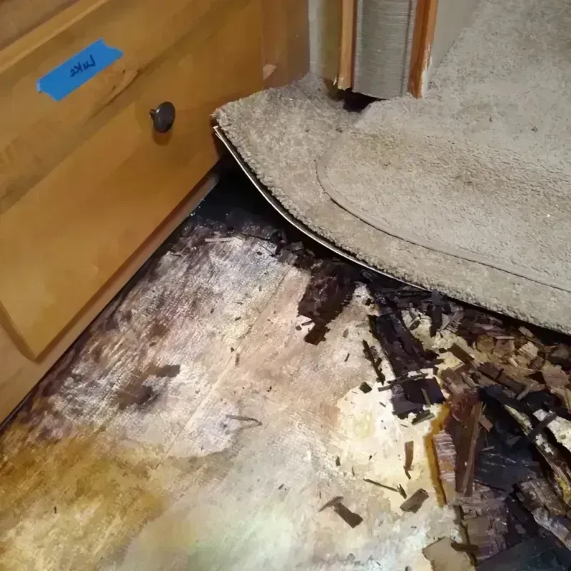 Best Wood Floor Water Damage Service in Adel, GA